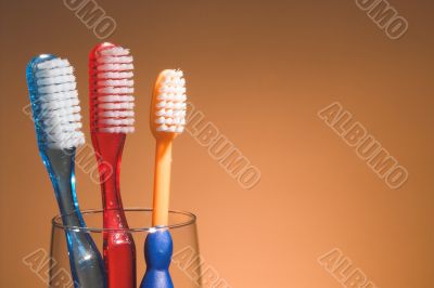A Family`s Toothbrushes