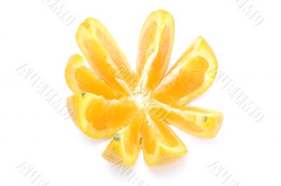 orange segments