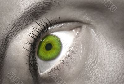 close-up of a female eye