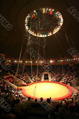 modern circus