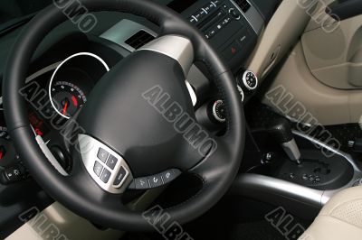 Sterring wheel