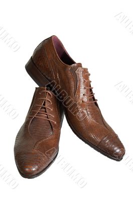 Man`s low shoes