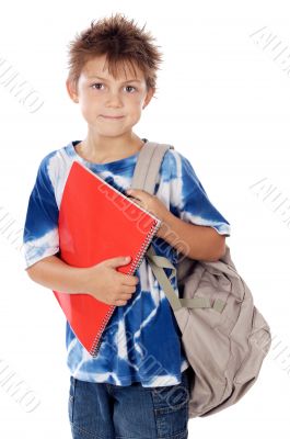 Adorable child studying
