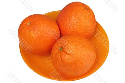 Oranges in a plate