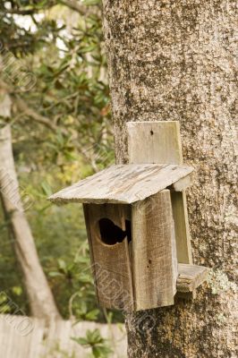 Old Wood Birdhouse