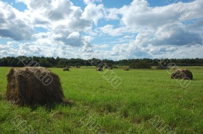 Hayrick on the field