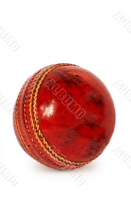 ball for cricket