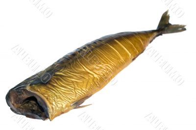 Smoked mackerel  isolated