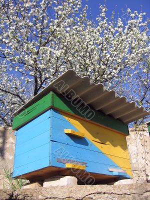 Ukrainian beehive