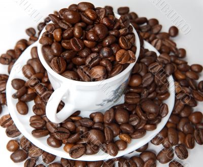 Coffee beans in a cup