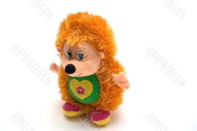 toy hedgehog