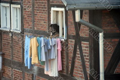 laundry and dog