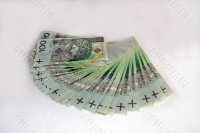 money on the white background