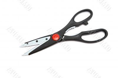 kitchen scissors