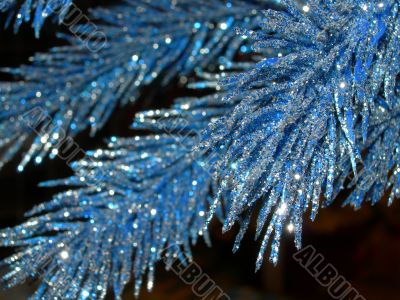 Celebratory blue fur-tree