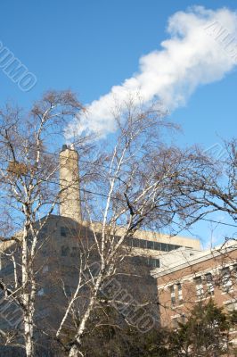 Tree and smoking stack