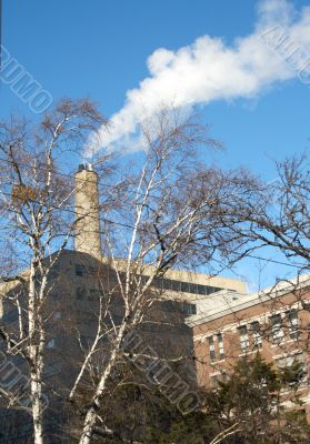 Tree and smoking stack