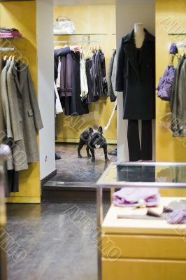 Shopping dog