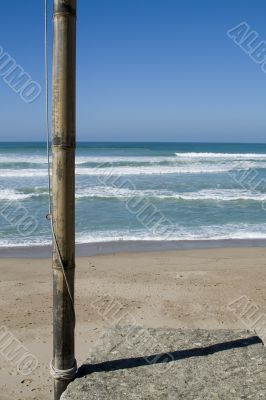 Watching the sea