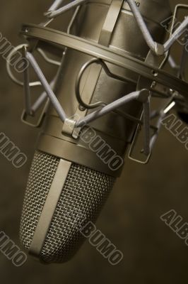 Microphone
