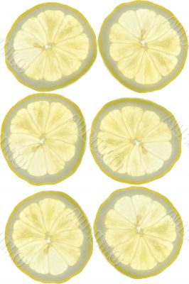 Lemon slices