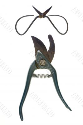 Scissors