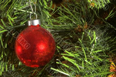 Christmas Ornament