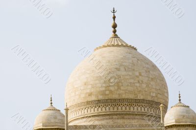 Taj Mahal roof