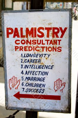 Palmistry panel