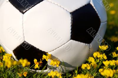 Soccer ball
