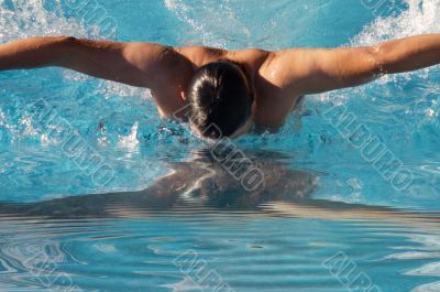 swimmer in swimming pool