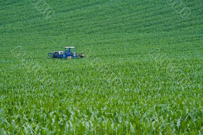 Blue tractor