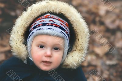 portrait of a baby boy in autumn park