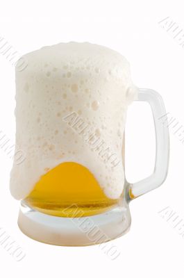 Fresh cold beer