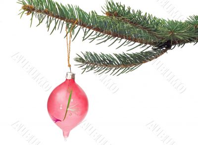 Christmas glass ball