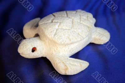 The coral turtle