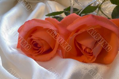 Red rose with silver ribbon