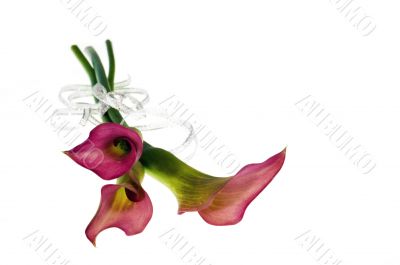 Red flower with silver ribbon