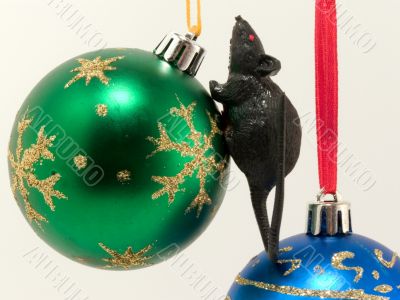 new-year rat