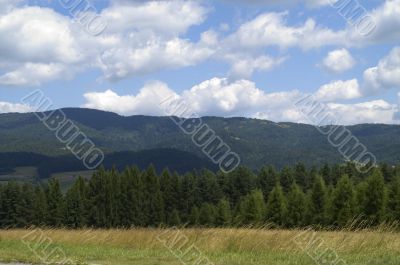 View