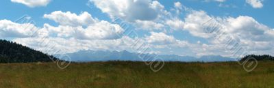 Panoramic meadow