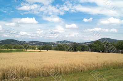 Coreal in mountain