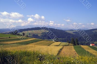 Mountains landscape