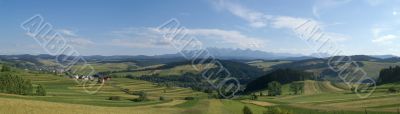 Panoramic meadow