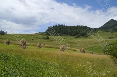 Sheafs in mountain