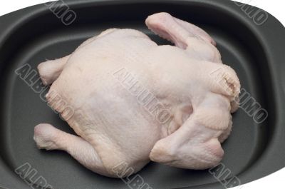 chicken