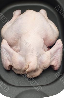 raw chicken
