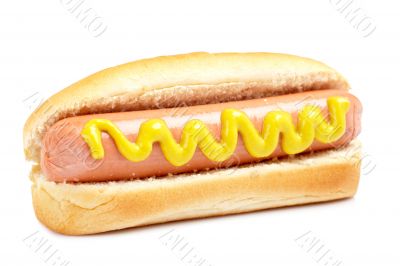 Hot dog with mustard