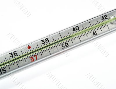 Thermometer