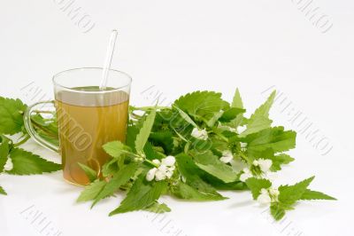 Fresh Tea